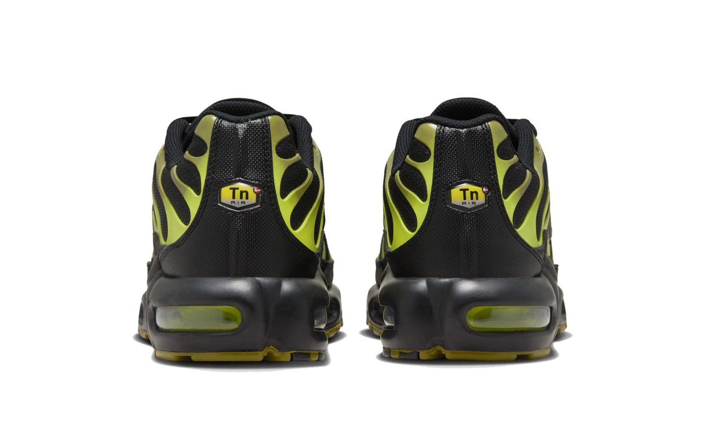 Nike Tn Air Max Plus Pacific Moss